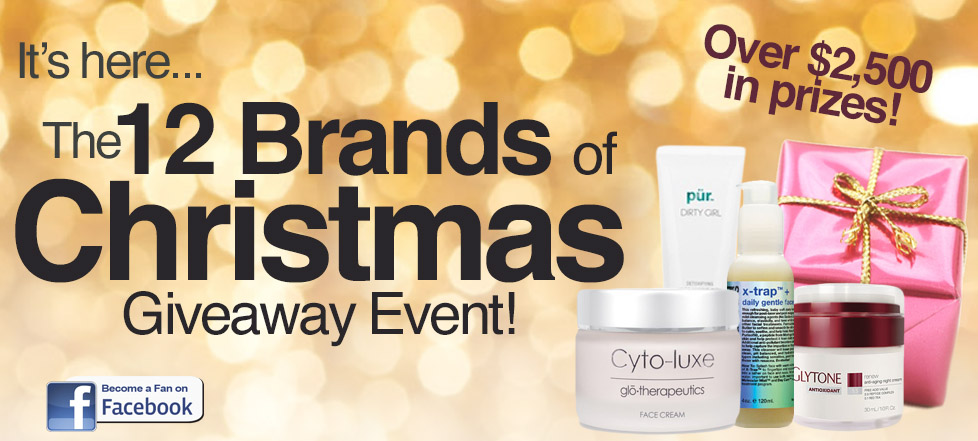 12brandsofchristmas.jpg 12brandsofchristmas.jpg